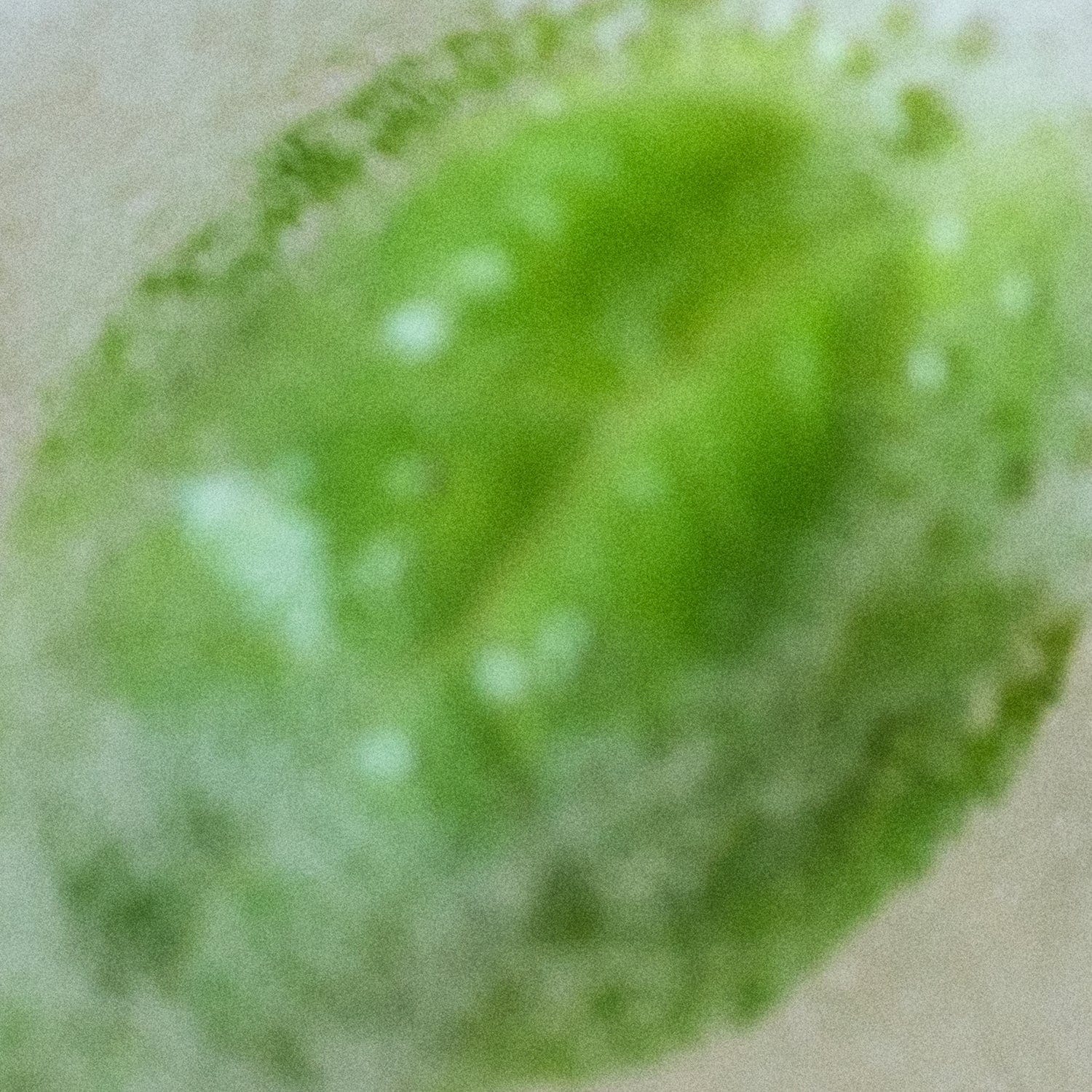 NONFICTION Parfum FORGET ME NOT Eau de Parfum