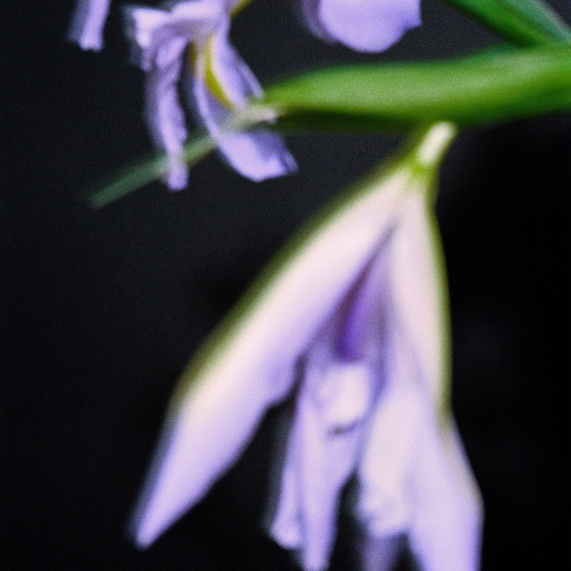 NONFICTION Parfum IRIS CONCRETE Eau de Parfum